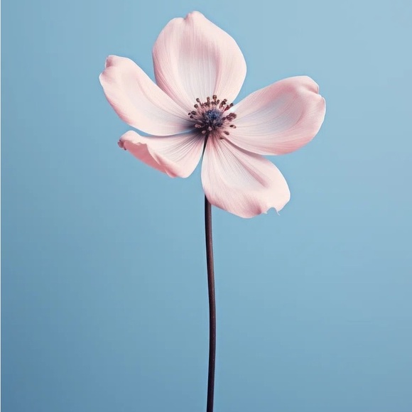 Meet your Posher - Picture 1 of 1